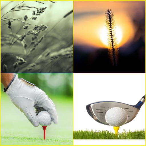 Golf, Grass Wallpapers