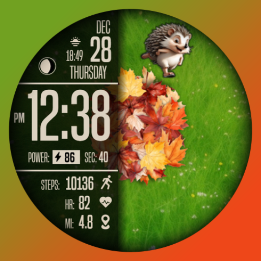 [69D] FUN01 watch face