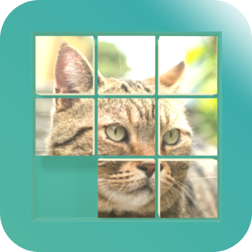 CAT PUZZLE GAME/Move the tiles