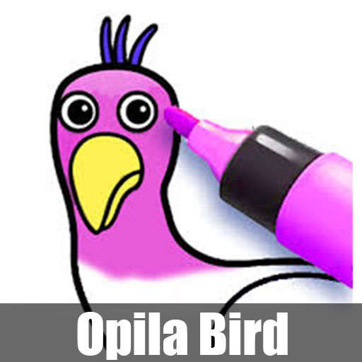 Opila Bird Wallpapers 4K HD