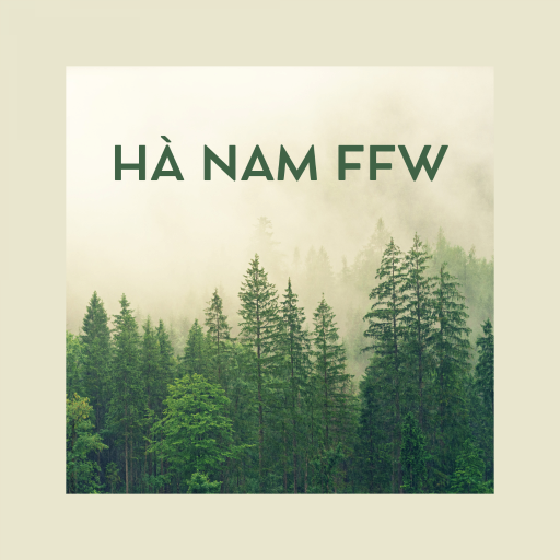 Hà Nam FFW