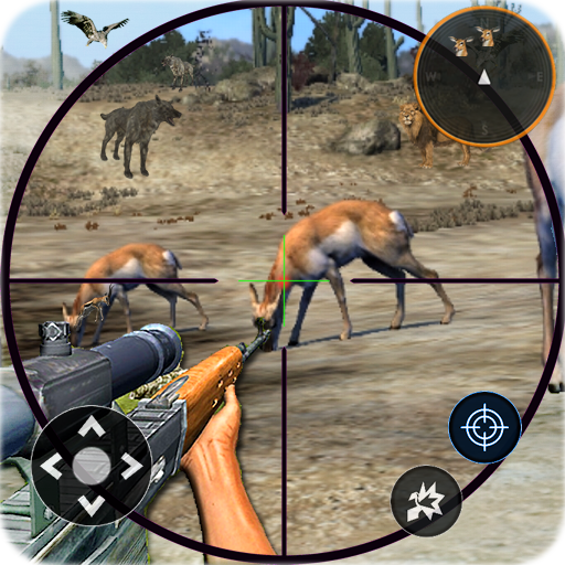 Wild Animal Shooting