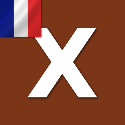 Word Expert - French