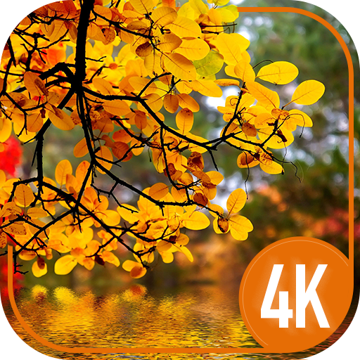 Vos fonds d'écran d'automne 4K