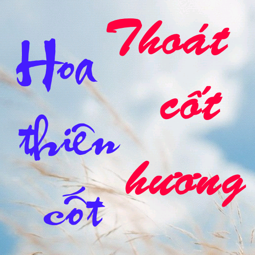 Hoa thien cot - ngon tinh