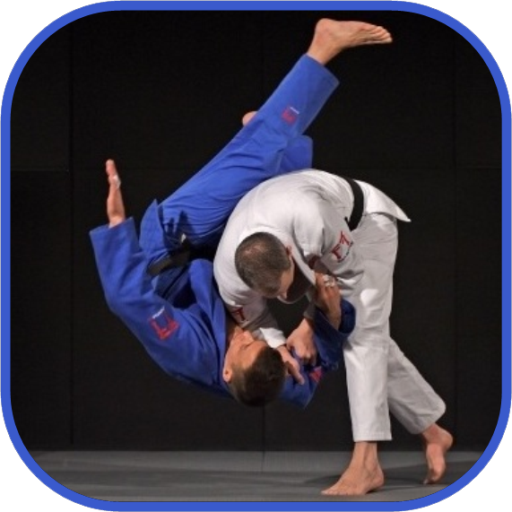 Judo in brief