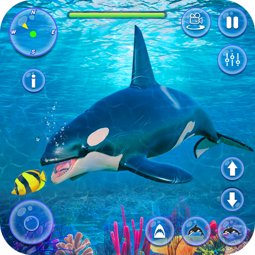 Orca Killer Whale Simulator