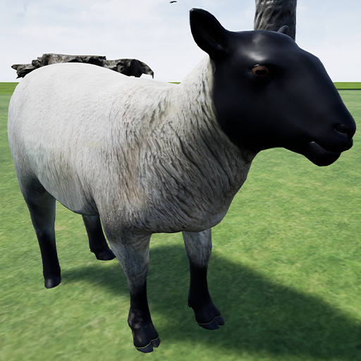 Sheep Runner Simulator